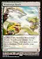 Amazon.com: Magic The Gathering - Windswept Heath (020/045